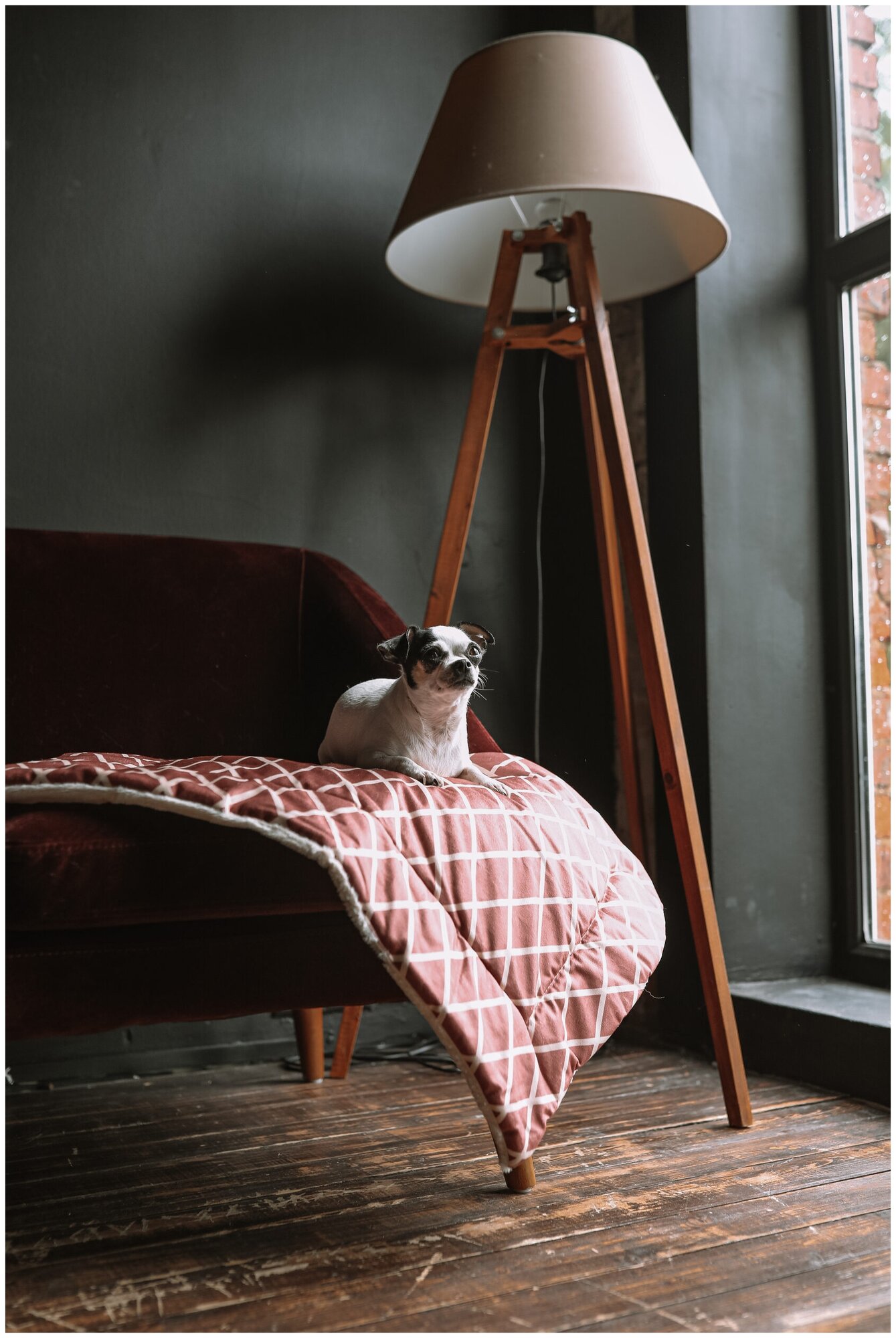Лежанка для животных, для кошек, для собак, "Не Один Дома" Мягкий коврик, бордовый, L - фотография № 4