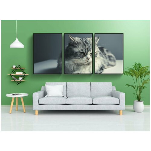 фото Набор модулных постеров для интерьера "кошка, персидская порода, черный серый" 60x90 см. в тубусе, без рамки lotsprints