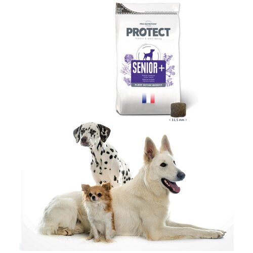 Корм для собак Pro-Nutrition Flatazor Protect Senior+ замедляющий процессы старения (2 кг)
