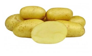 Семенной картофель Колетте 2 кг