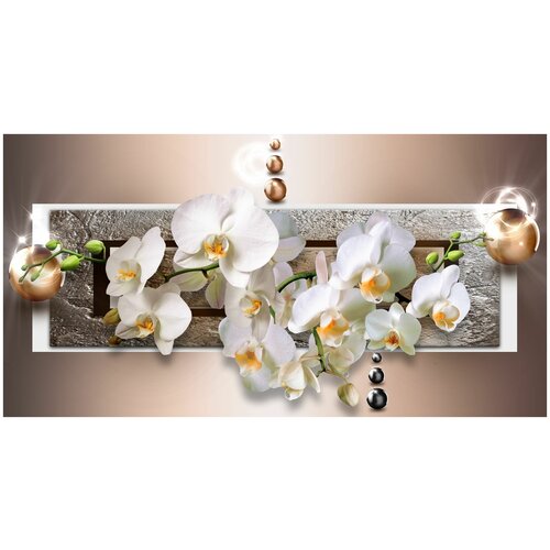 Фотообои Уютная стена Орхидеи в серебристой раме 520х270 см Бесшовные Премиум (единым полотном)