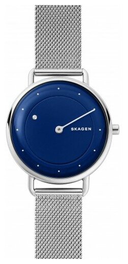 Наручные часы SKAGEN SKW2738