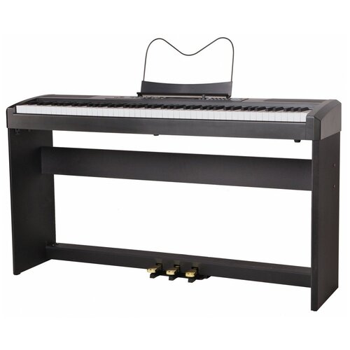 фото Ringway rp-35 цифровое пианино, клавиатура 88 клавиш, стойка s-25
