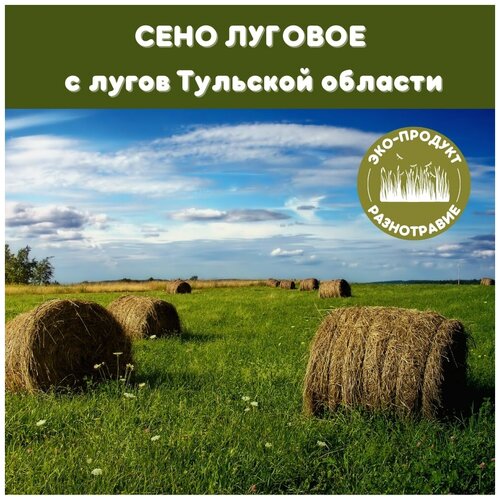 Сено Полесье для грызунов и хорьков 5кг сено луговое разнотравие для кормления грызунов