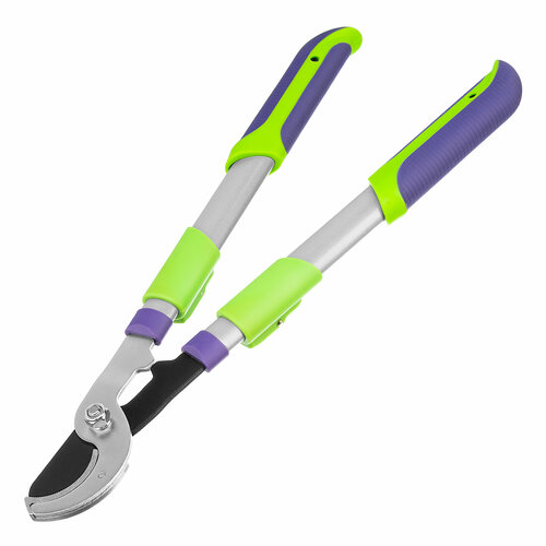 фиолетовый, зеленый, серебристый, желтый