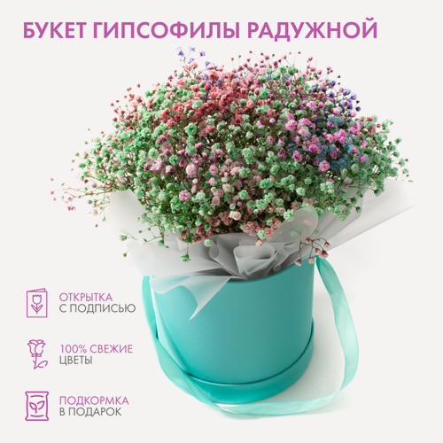 Изображение товара Цветы с доставкой, Букет из гипсофилы радужной
