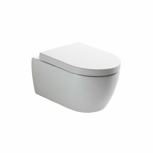 Крышка-сиденье для унитаза SSWW CT2037V (44 см) Quick Release & Soft Closing (Микролифт)