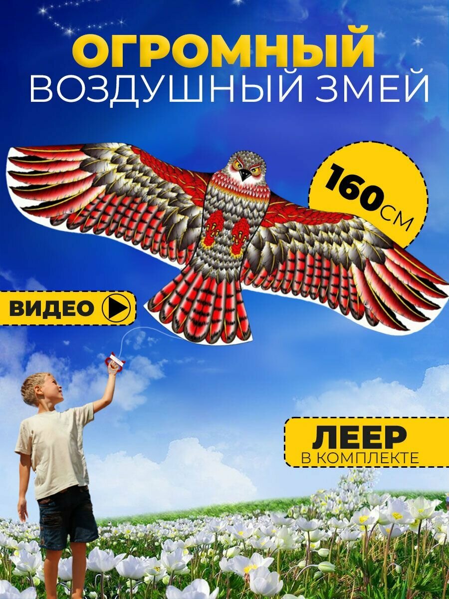 Воздушный Змей для ребенка большой Сокол