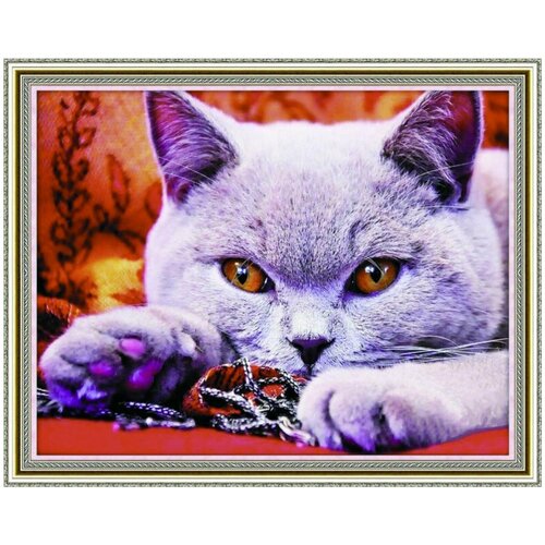 Алмазная мозаика на подрамнике 40х50 Британская короткошёрстная кошка / Картина стразами