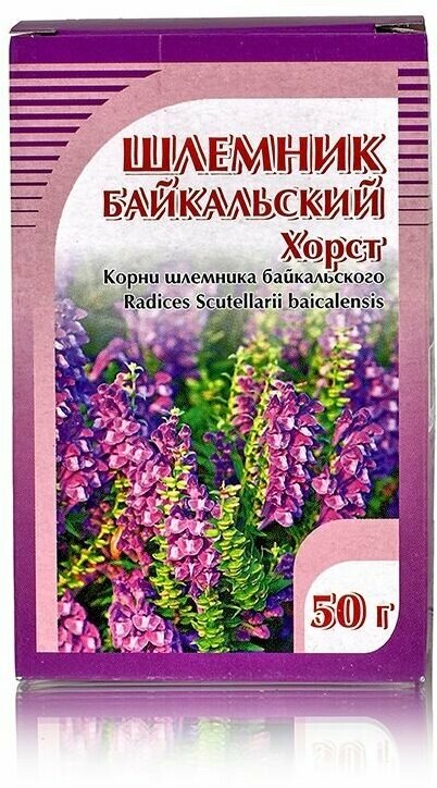 Хорст корень Шлемник Байкальский