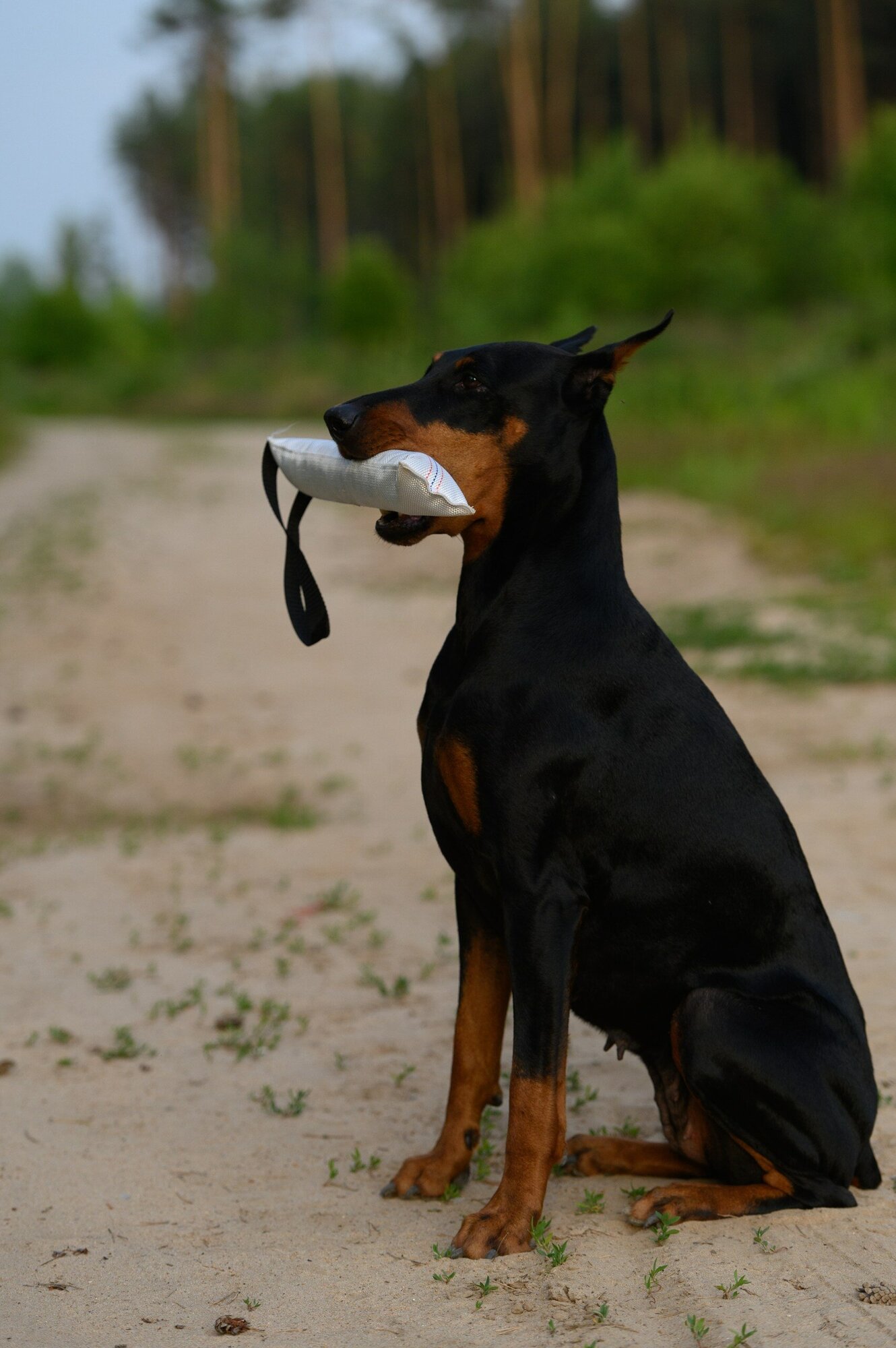 Игрушка-кусалка (ухватка,перетяжка) для собак, с одной ручкой, длина 30 см - фотография № 2