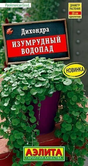 фото Дихондра Изумрудный водопад