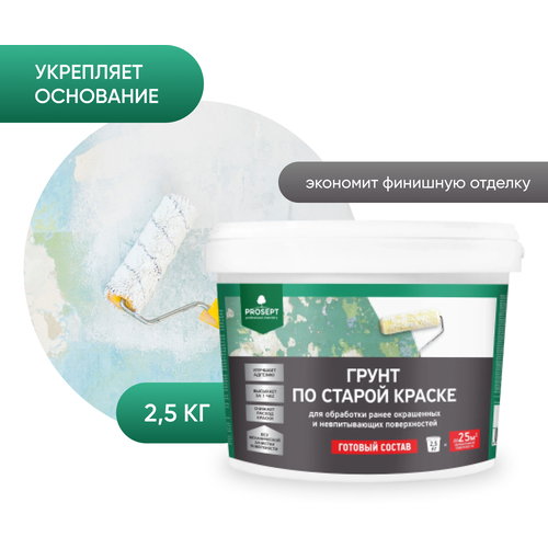 Грунт по старой краске PROSEPT, 2.5 кг. грунт по старой краске prosept 1 кг