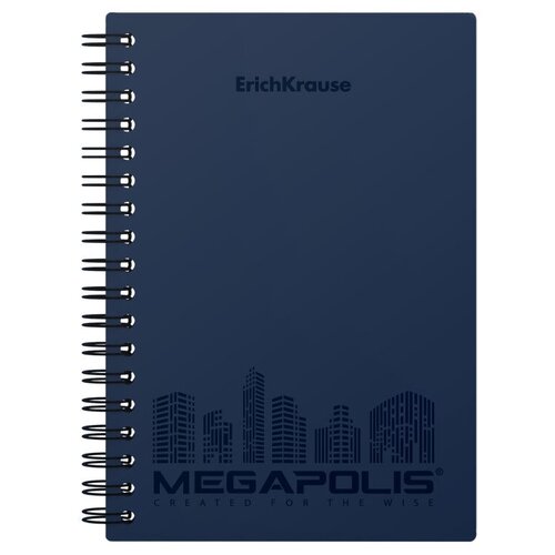 ErichKrause Упаковка тетрадей Megapolis 45945, 5 шт., клетка, 80 л., 5 шт., синий erichkrause упаковка тетрадей megapolis 49810 2 шт клетка 80 л 80 шт черный