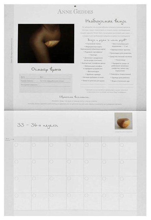 Календарь моей беременности (Геддес Анна) - фото №2