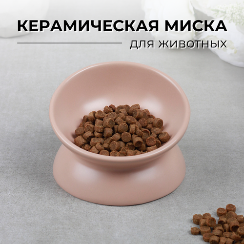 Миска для кошек и собак керамическая с наклоном одинарная (коралловый)