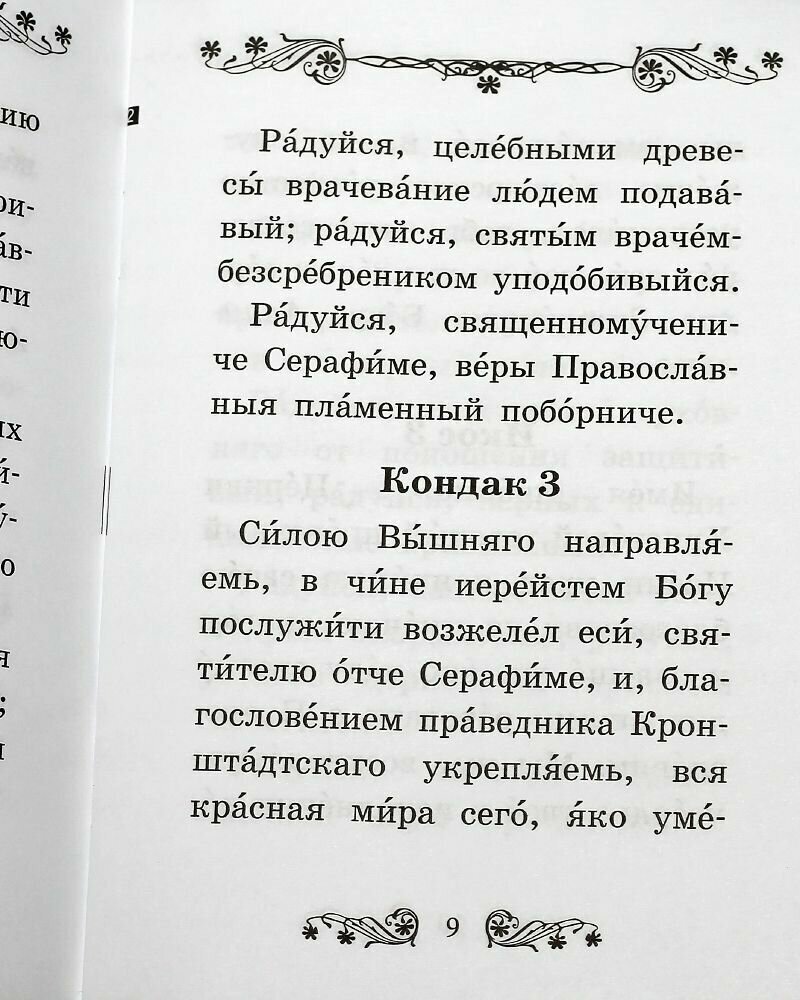 Акафист священномученику Серафиму (Чичагову), митрополиту Петроградскому - фото №3
