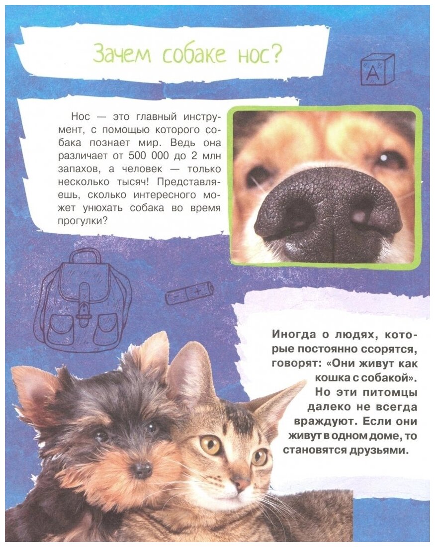 Почему так, а не иначе. Военное дело, растения, космос, животные. - фото №2