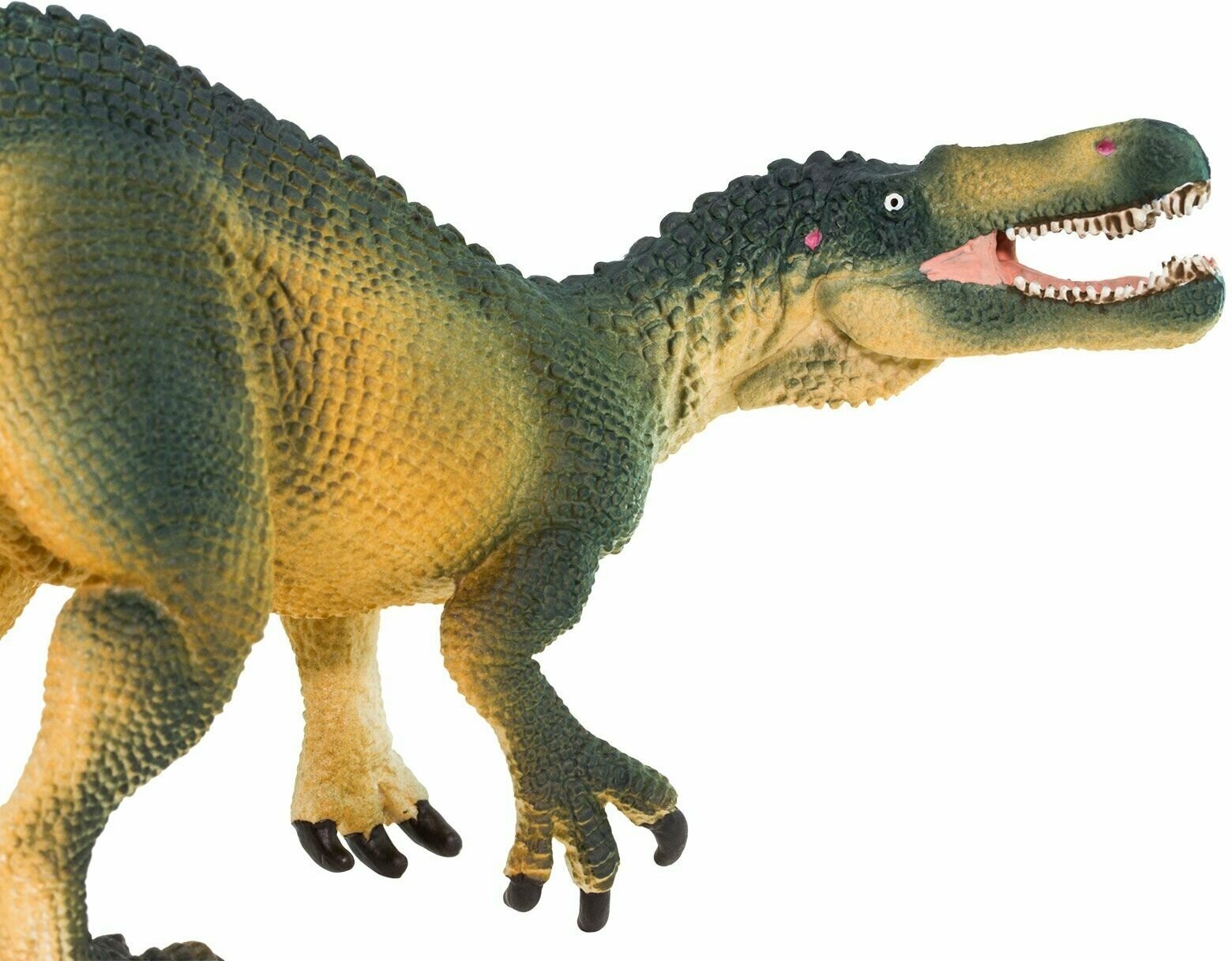 Фигурка животного динозавра Safari Ltd Зухомим, для детей, игрушка коллекционная, 302929