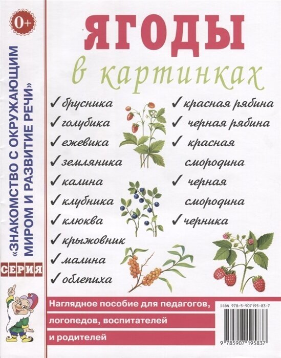 Ягоды в картинках. Наглядное пособие для педагогов, логопедов, воспитателей и родителей