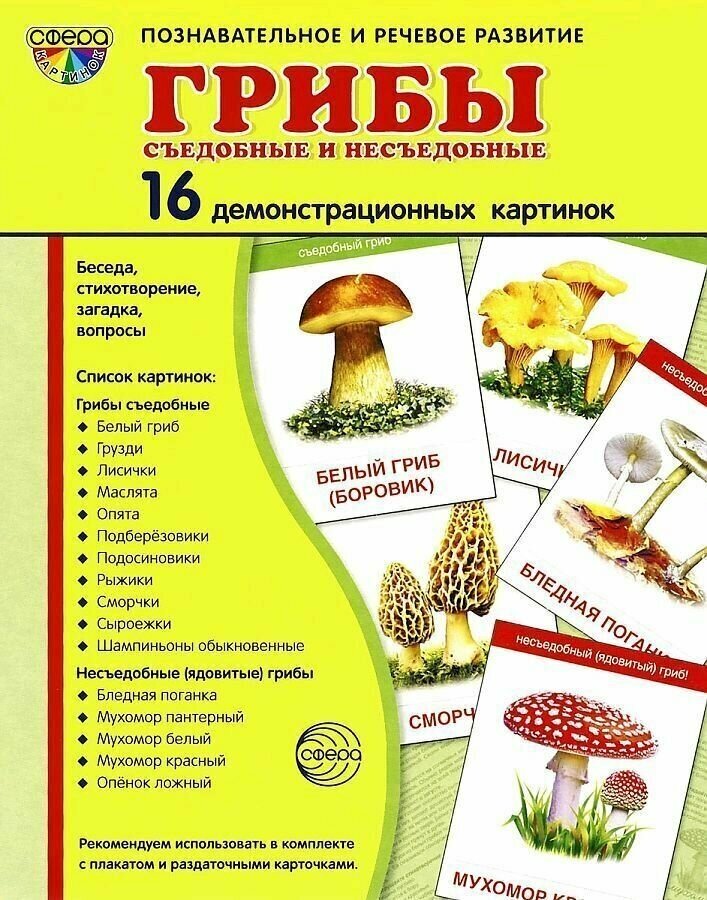 Демонстрационные картинки "Грибы съедобные и несъедобные" (173х220 мм) - фото №4