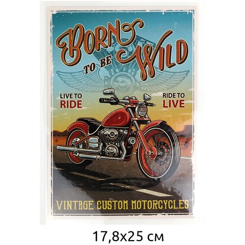 Термотрансфер арт. TBY.1282 Born to be wild 17,8х25см, уп.2шт