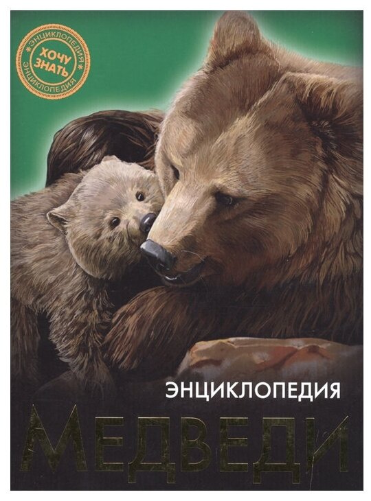 Хочу знать. Медведи (Соколова Ярослава) - фото №1