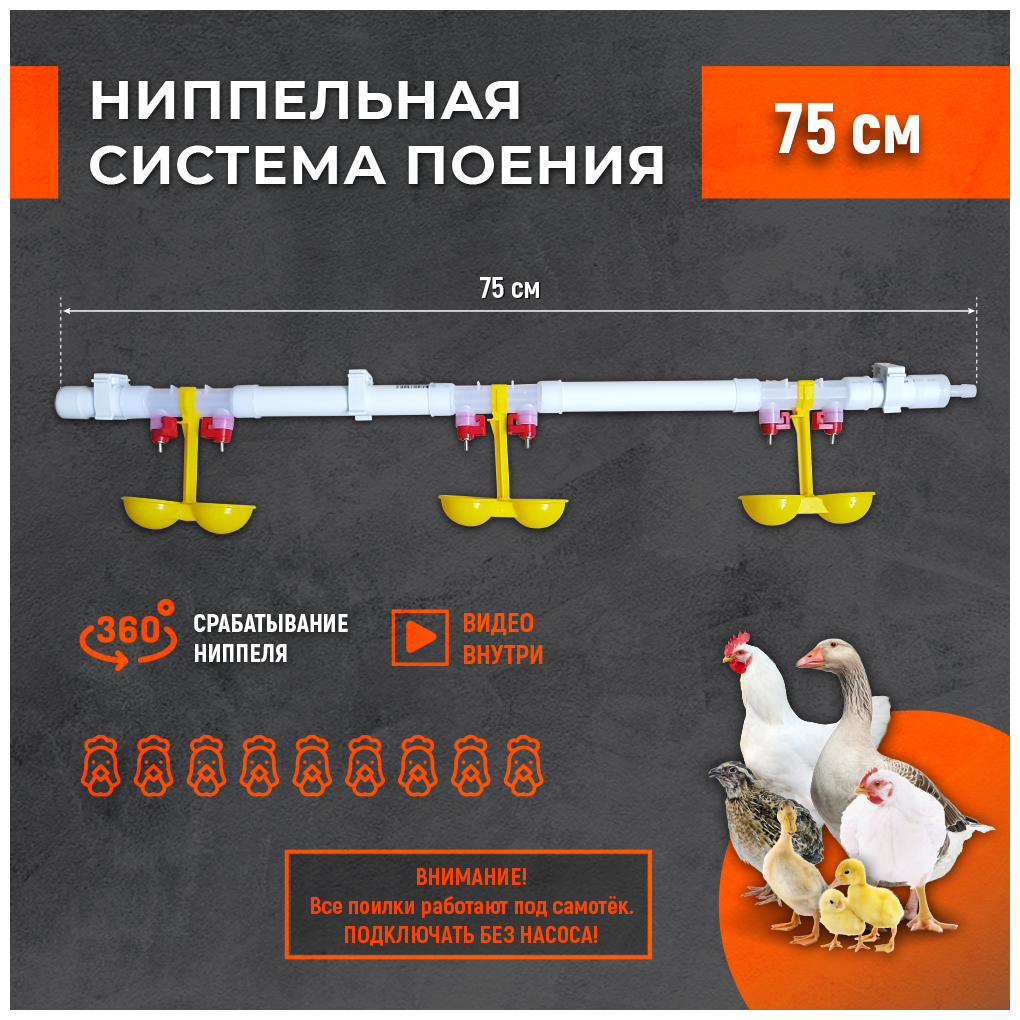 Ниппельная система поения НП18 75см готовая, комплект поилка в сборе. Для с/х птиц. Универсальная автопоилка подвесная капельная поилка для брудера - фотография № 1