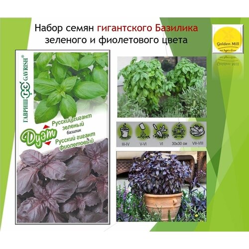 Базилик: Русский гигант зеленый, Русский гигант фиолетовый. Семена. базилик русский гигант семена