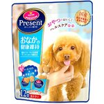 Лакомство для собак хрустящее Japan Premium Pet PRESENT с олигосахаридами, лакто- и бифидобактериями, для здорового пищеварения - изображение