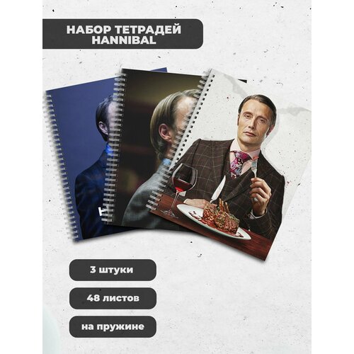 Набор тетрадей (3шт.) 48л. Hannibal / Ганнибал