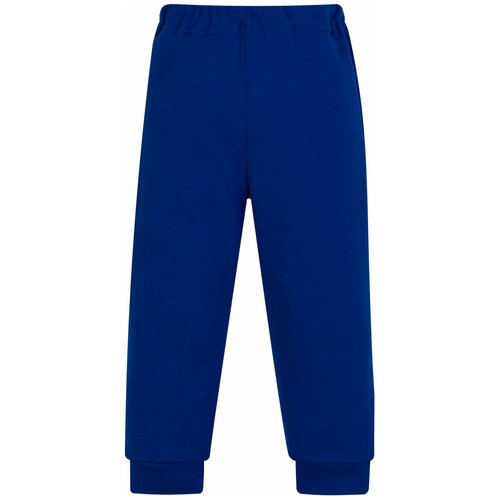 фото Брюки утенок 432 размер 74, василек