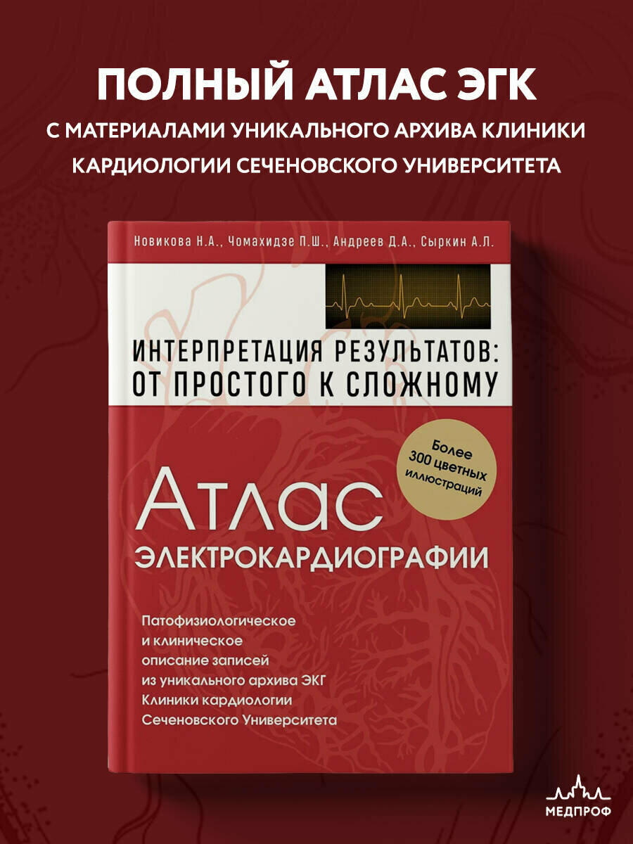 Новикова Н.А. Чомахидзе П.Ш. Андреев Д.А. Сыркин А.Л. 