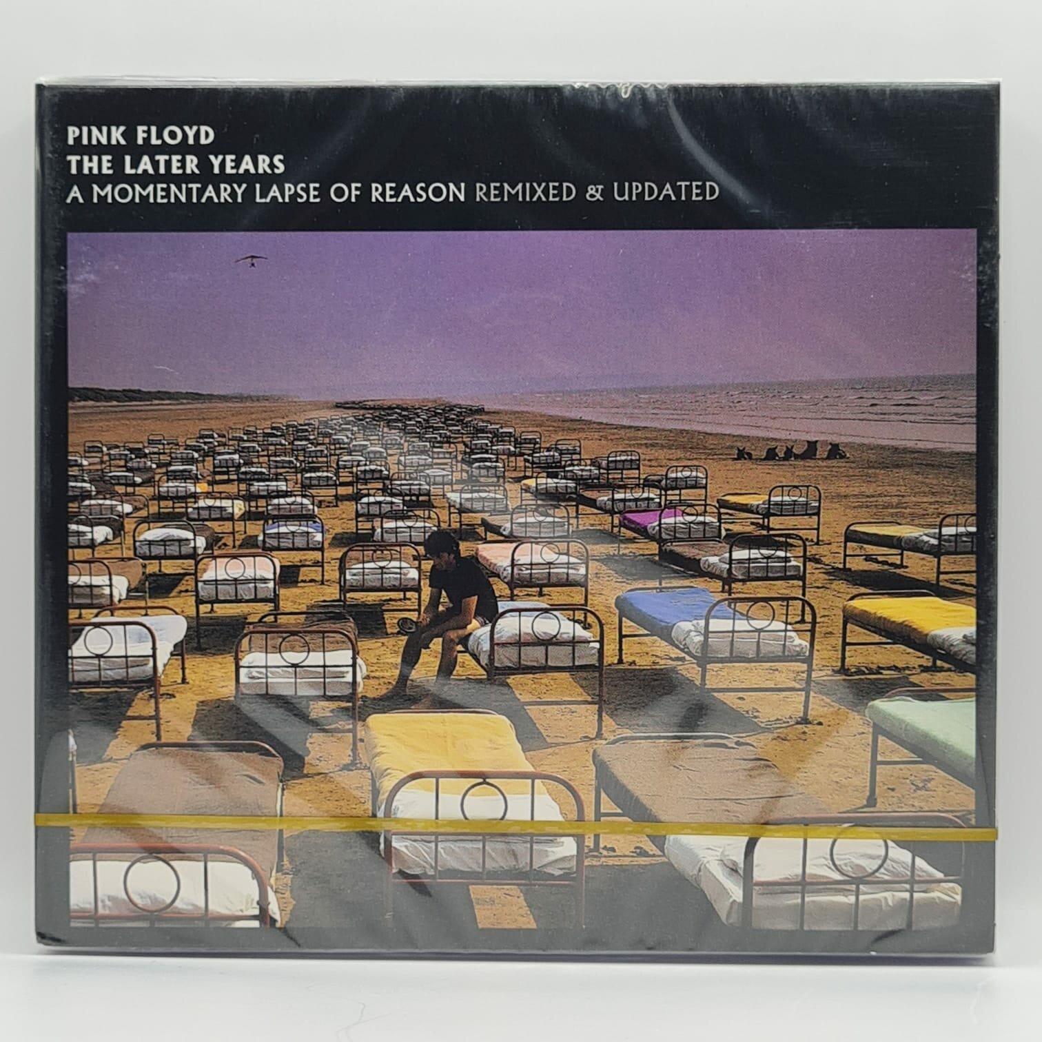 PINK FLOYD A Momentary Lapse of Reason (2CD)