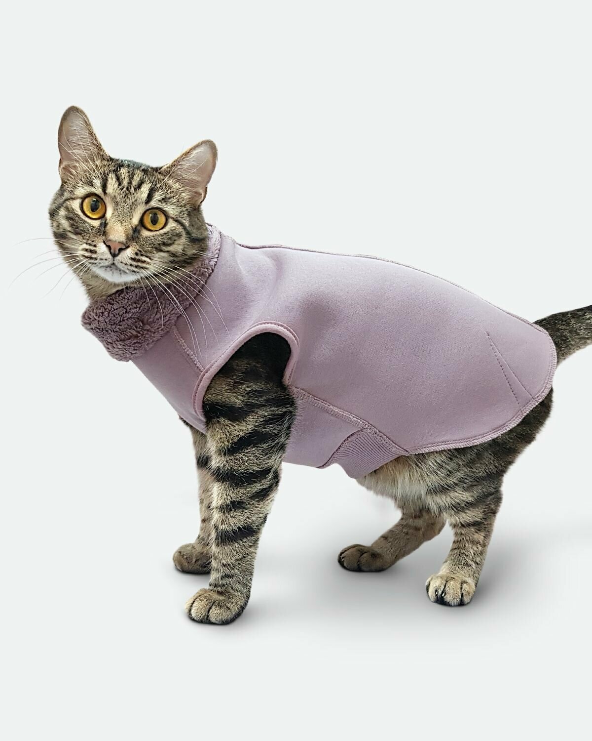 Толстовка одежда для кошек сфинкс и котов / Эльф размер M - фотография № 2