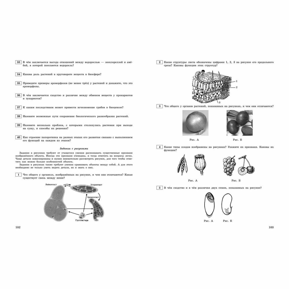 ЕГЭ-2024. Биология. Тематические тренировочные задания - фото №16
