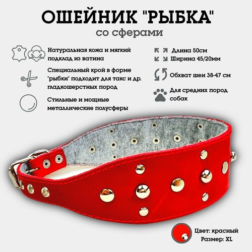 Ошейник "Селедка со сферами" из натуральной кожи и ватина XL