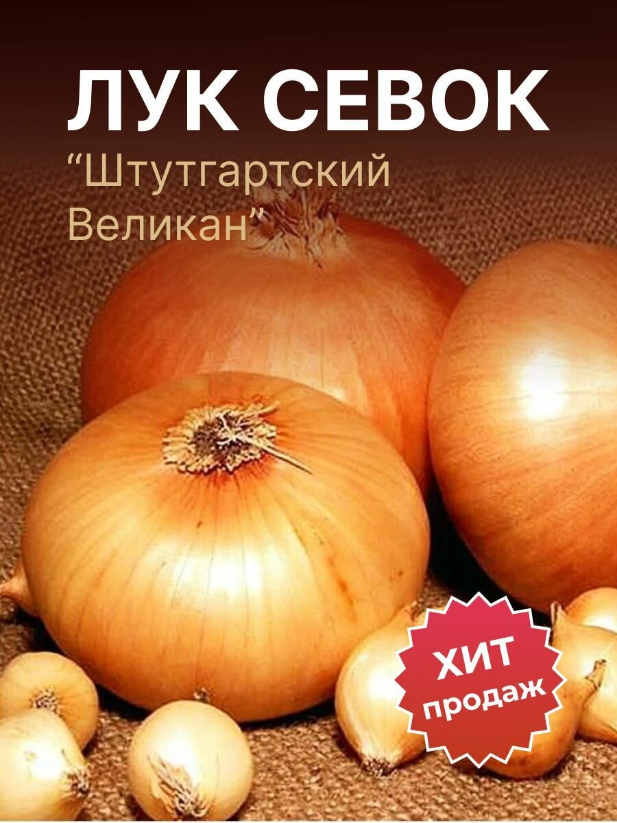 Лук севок на посадку Штутгартский Великан 1кг