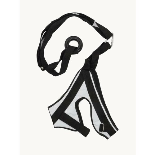 Петля Глиссона с креплением на дверь и турник