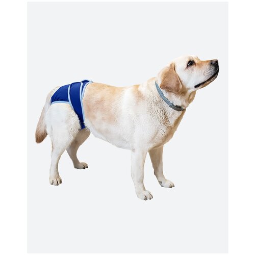 Трусы для собак размер 2L Трусы для собак во время течки. Трусы для собак многоразовые