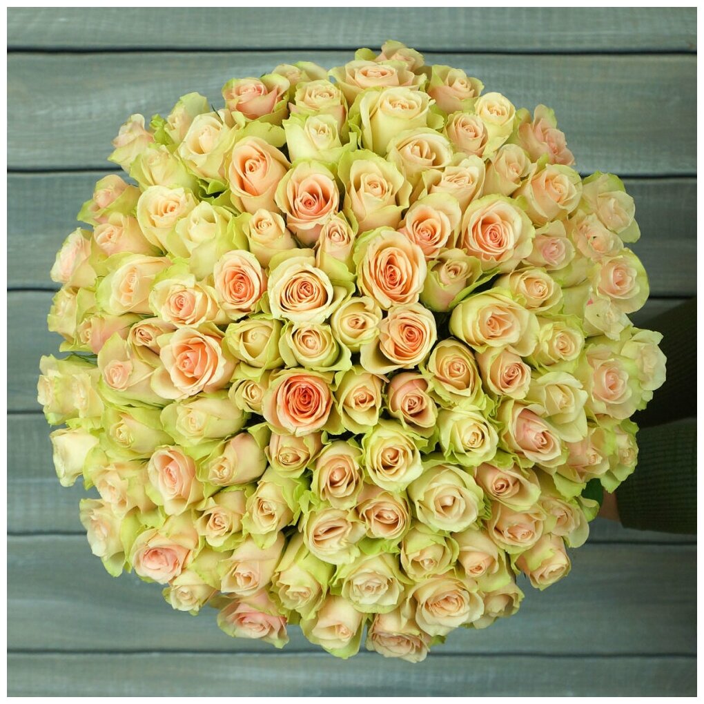 101 зелено-розовая роза С лентой (40 СМ)