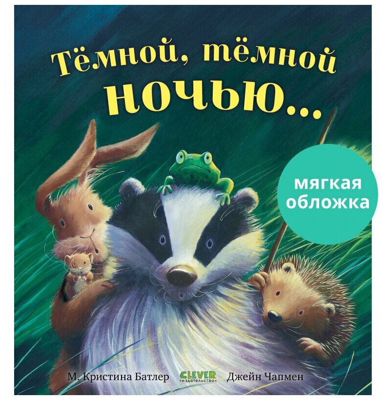 Тёмной, тёмной ночью… Книжки-картинки (мягкая обложка)