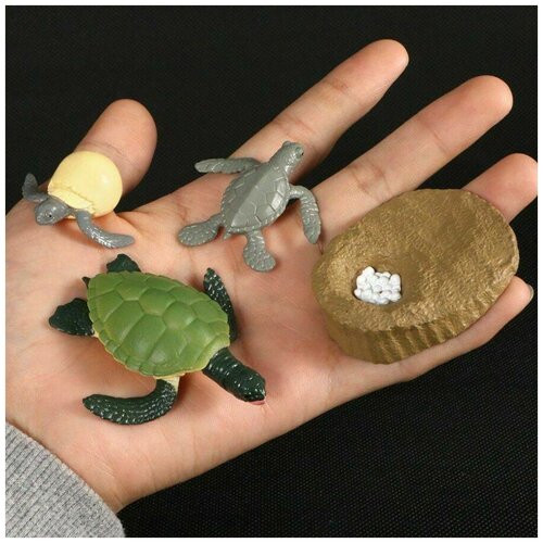 Набор фигурок Жизненный цикл Черепаха набор фигурок жизненный цикл черепаха