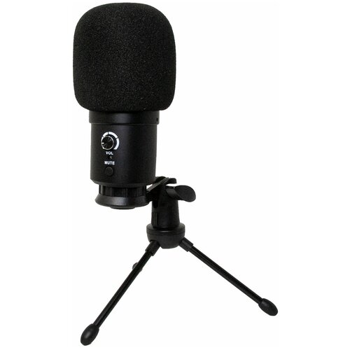 Микрофон U 780 Condenser Microfone Audio Prof студийный с креплением и штативом защитная губка черный проводной 359000₽