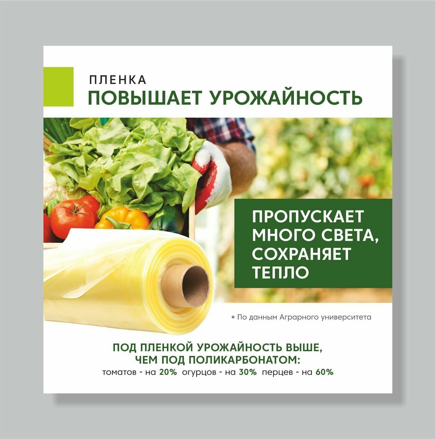 Пленка многолетняя Светлица 120 мкм 3 x 80 м для теплиц парников Укрывной материал - фотография № 15