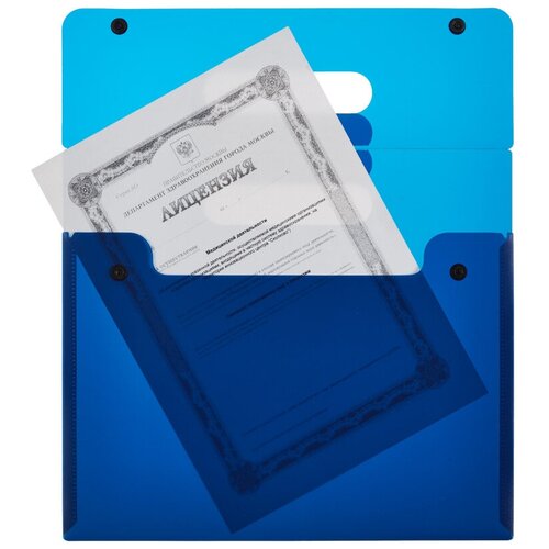Феникс+ (канцтовары) Папка для документов Синяя, А4 феникс канцтовары папка для документов цветы 29 5x24 3 см