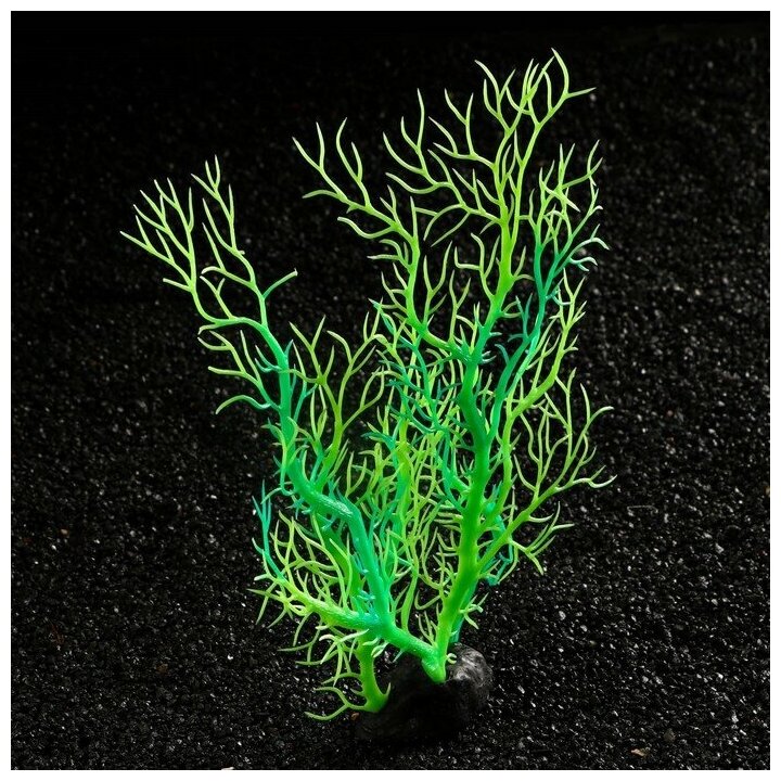 Растение искусственное аквариумное, светящееся, 25 см, зелёное - фотография № 3