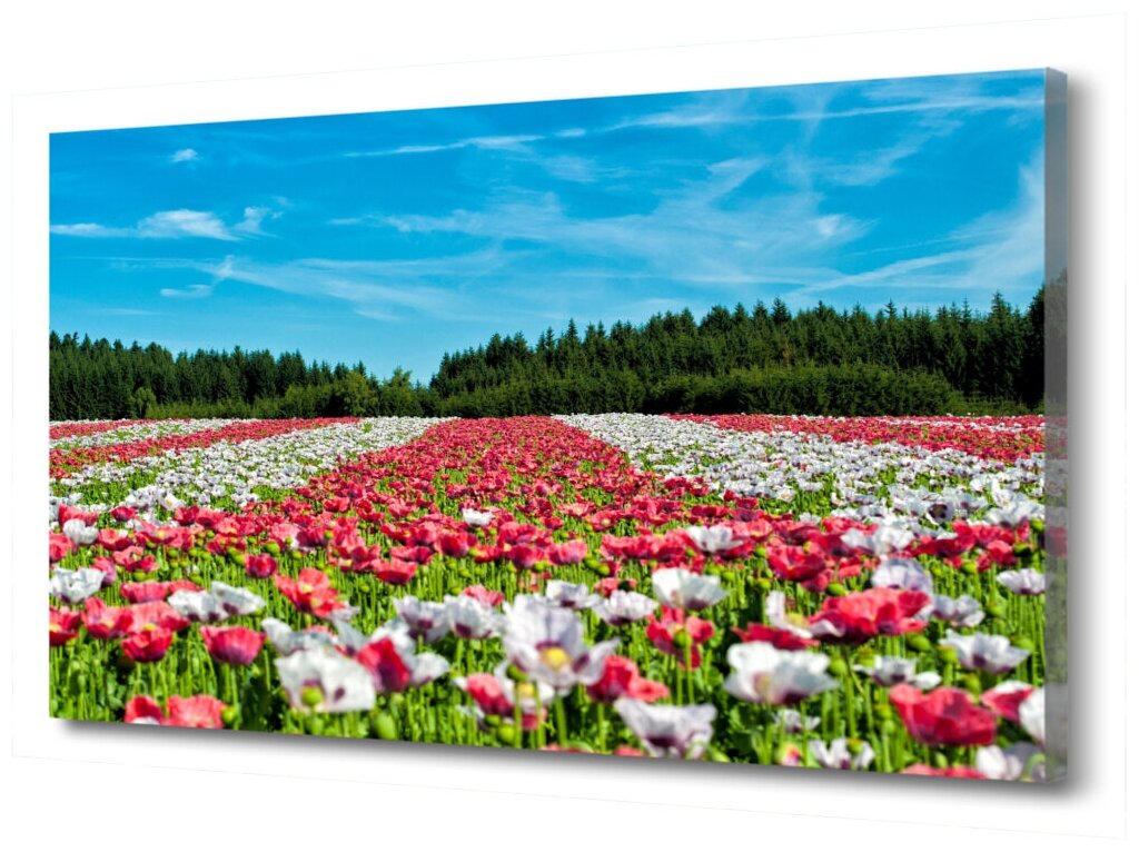 Картина на холсте "Цветы" PRC-573 (45x30см). Натуральный холст