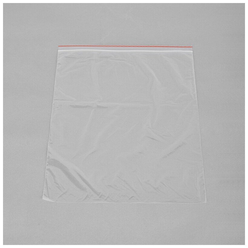 Пакет с замком (Zip Lock) 25x35 см, 35мкм, 100 шт/ - фотография № 6