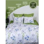 Комплект постельного белья Сатин-Комфорт 1,5-спальный, наволочки 70х70 см, Зеленый, 16-33-3А-Н70 - изображение